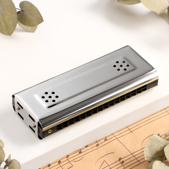Губная гармошка Music Life T16-2 тремоло, с футляром Губная гармошка Music Life T16-2 тремоло, с футляром