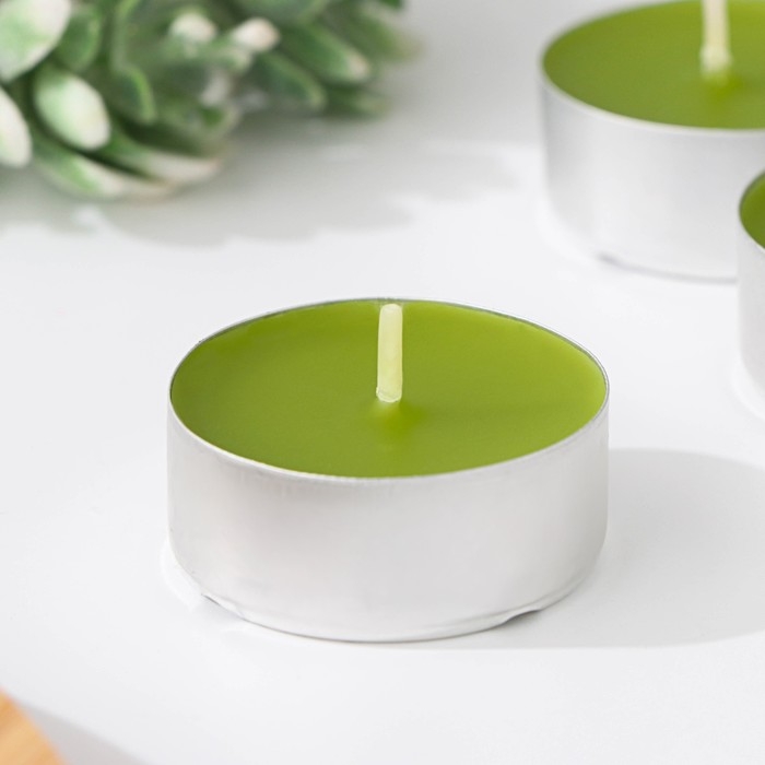 Набор чайных свечей ароматических Набор чайных свечей ароматических "Хвоя", 3,8х1,6 см, 3,5 ч, 12 г, 6 штук