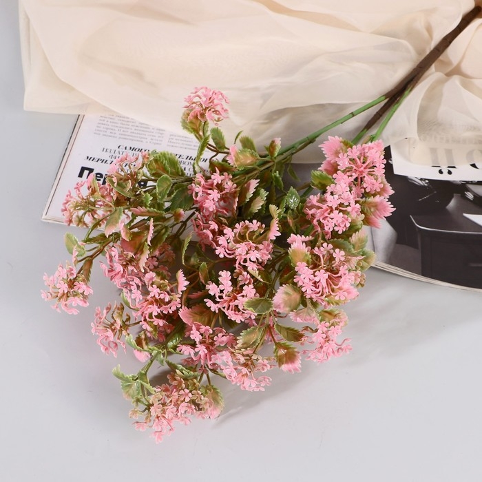 Букет Букет "Зизифора галант" 50 см, микс