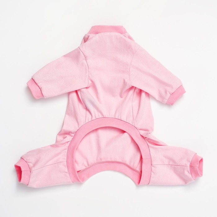 Комбинезон для животных нежно-розовый, L (ДС 39, ОШ 36-38, ОГ 60-62) Комбинезон для животных нежно-розовый, L (ДС 39, ОШ 36-38, ОГ 60-62)