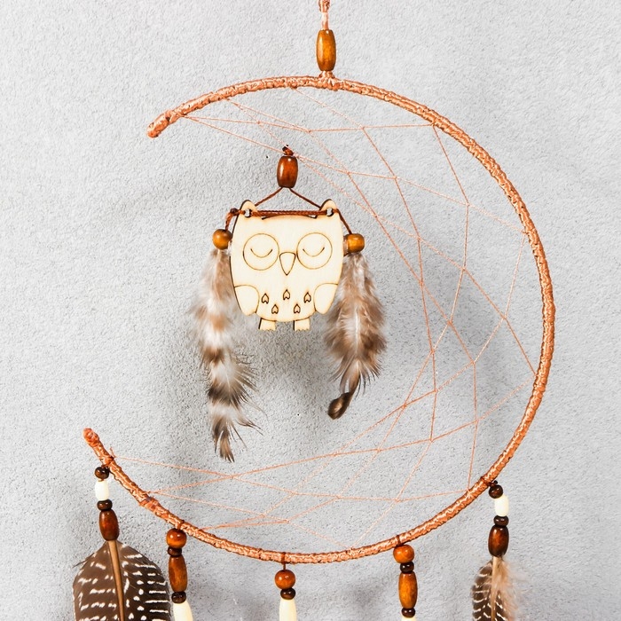 Ловец снов Ловец снов "Спящая сова" 58х16 см