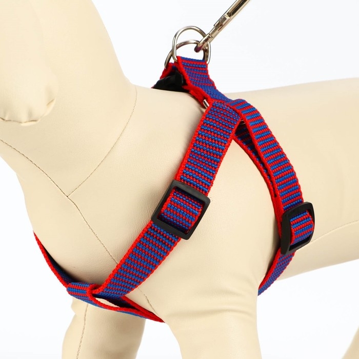 Комплект амуниции рельефный, 2 см, поводок 120 см, красно-синий Комплект амуниции рельефный, 2 см, поводок 120 см, красно-синий