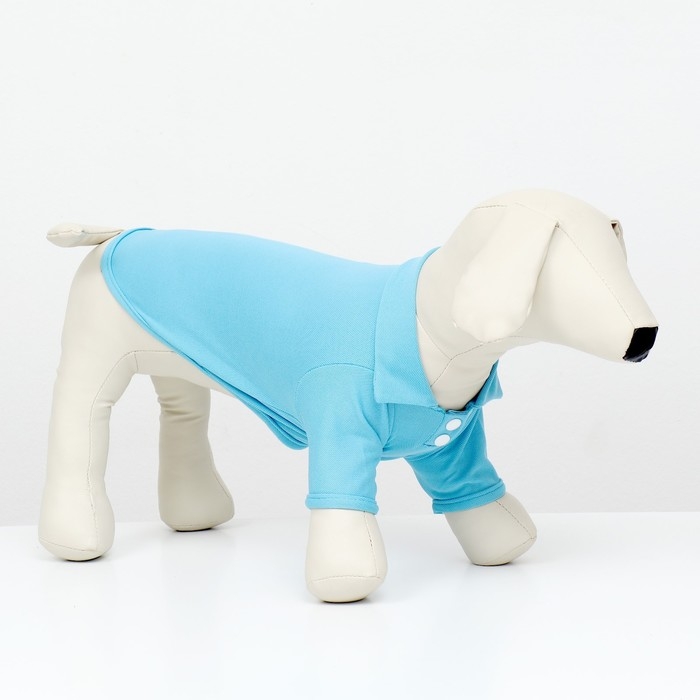 Футболка-поло для животных, XS (ДС 20, ОГ 30, ОШ 21 см), голубая Футболка-поло для животных, XS (ДС 20, ОГ 30, ОШ 21 см), голубая