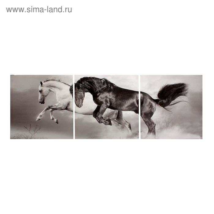 Картина модульная на подрамнике  Картина модульная на подрамнике "Скакуны. Черный, белый." 3шт-50х50 см; 50*150 см
