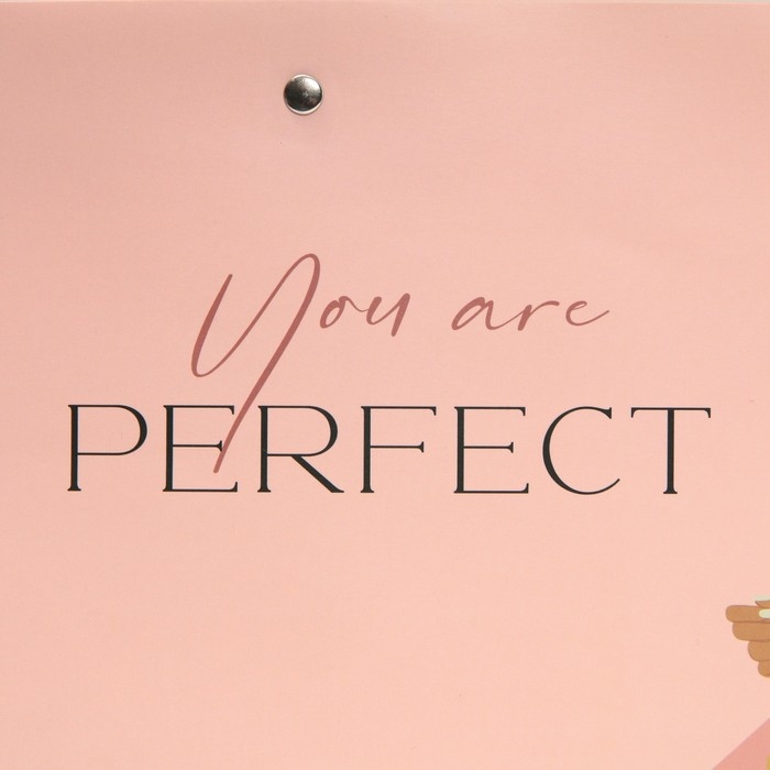 Пакет подарочный, упаковка, «Ты идеальна», 30 х 20 х 10 см Пакет подарочный, упаковка, «Ты идеальна», 30 х 20 х 10 см