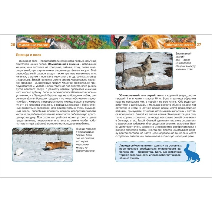 Детская энциклопедия «Животные России» Детская энциклопедия «Животные России»