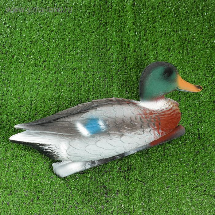 Фигура подсадная  Фигура подсадная "Кряква" селезень