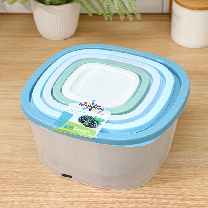 Набор пищевых контейнеров «BioFresh», 5 шт: 0,23 л, 0,5 л, 0,9 л, 1,55 л, 2,65 л, прозрачные, крышки микс