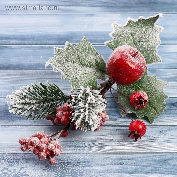 Декор  Декор "Зимние грезы" яблоко калина красная, 20 см