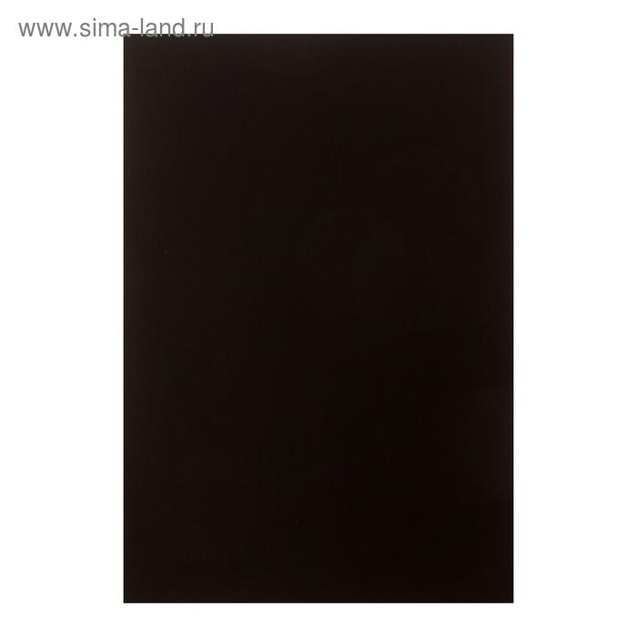 Бумага для пастели А4, deVENTE, набор 10 листов, 160 г/м2, чёрная, в пакете Бумага для пастели А4, deVENTE, набор 10 листов, 160 г/м2, чёрная, в пакете