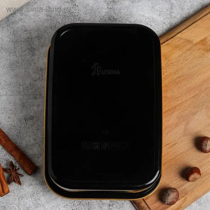 Ланч - бокс «Зима подарит сказку, Веточки» 1.2 л