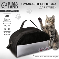 Сумка - переноска «Котики», полукруг, 41х23х20 см