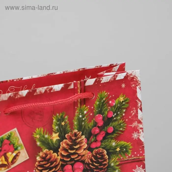 Пакет подарочный новогодний ламинированный «Подарок от Деда Мороза», MS 18 х 23 х 11.5 см