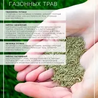 Газонная травосмесь &laquo;Быстрый газон&raquo;, 10 кг