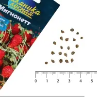 Семена Земляника &laquo;Мигнонетт&raquo;, ремонтантная, 5 шт., &laquo;Семена Алтая&raquo;