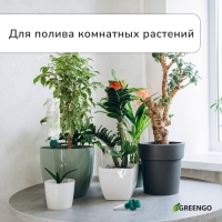 Автополив для комнатных растений, под бутылку, набор 2 шт., Greengo