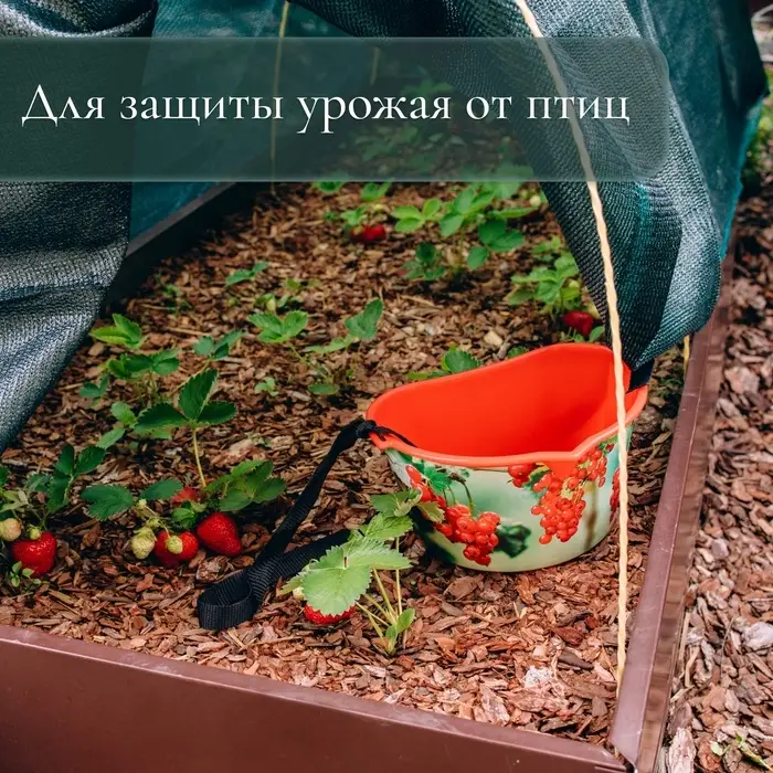 Сетка затеняющая, 10&times;2 м, плотность 80 г/м&sup2;, зелёная, в наборе 25 клипс