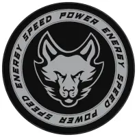 Шайба хоккейная Winter Star, взрослая, d=7.6 см