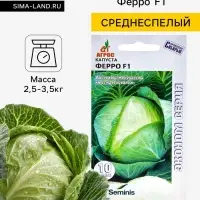 Семена Капуста белокочанная, &laquo;Ферро&raquo;, F1, 15 шт., Seminis, &laquo;Агрос&raquo;