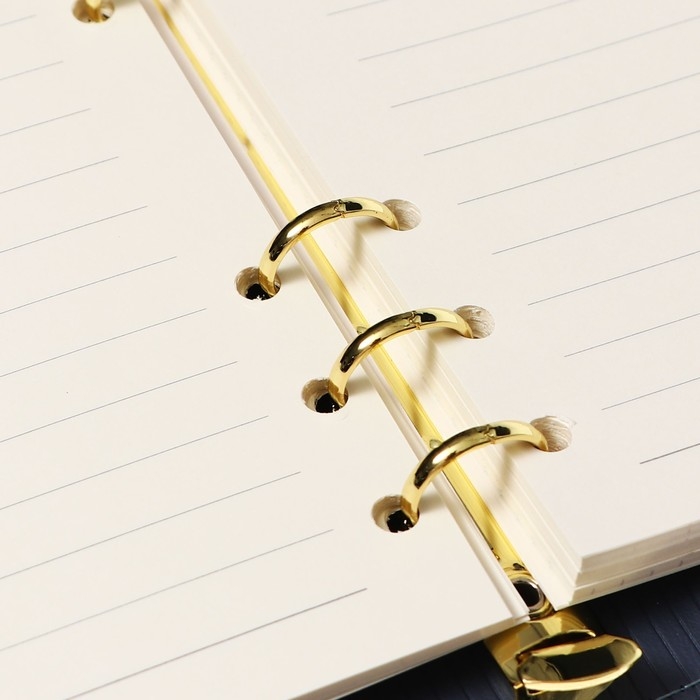 Органайзер на кольцах А6+, 80 листов, кожзам, c клапаном, линия, с ручкой, в подарочной коробке, синий Органайзер на кольцах А6+, 80 листов, кожзам, c клапаном, линия, с ручкой, в подарочной коробке, синий