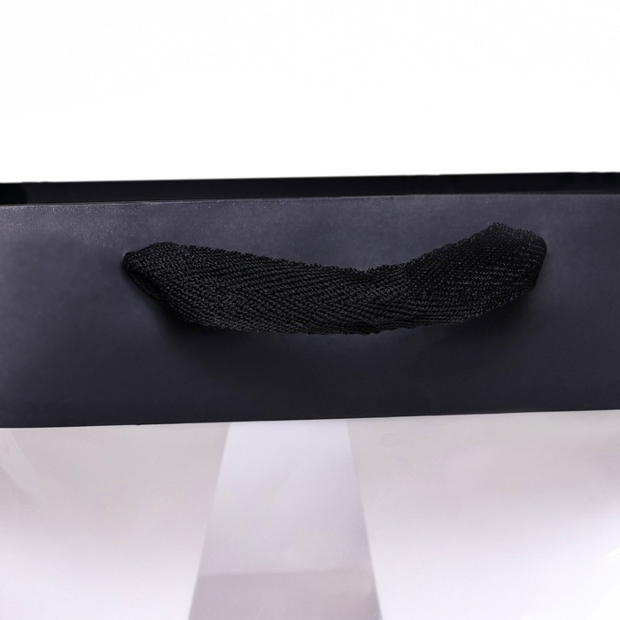 Пакет подарочный, крафт, с окном, «Черный», 25 х 25 х 25 см Пакет подарочный, крафт, с окном, «Черный», 25 х 25 х 25 см