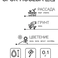 Семена Агератум «Красный букет», 0.05 г, «Семена Алтая»