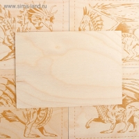 Доски для выжигания, 4 шт.: 19 × 13 см, серия "Драконы" + 1 чистая доска