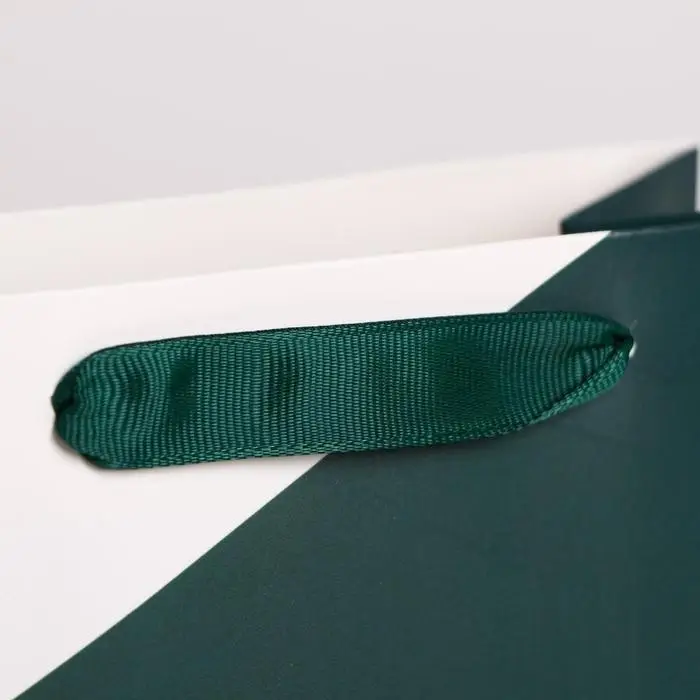 Пакет подарочный новогодний ламинированный «Чудес в Новом году», MS 18 х 23 х 10 см