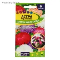 Семена цветов Астра «Тысяча чудес», карликовая, смесь, 0.15 г, «Семена Алтая»