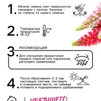 Семена цветов Люпин "Смесь Рассела", 0,5 г