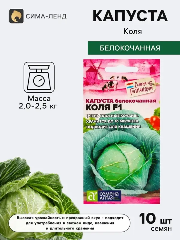 Семена Капусты белокочанной &laquo;Коля&raquo;, F1, 10 шт., &laquo;Семена Алтая&raquo;