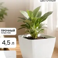 Горшок цветочный с поддоном СибПолимер &laquo;Классика&raquo;, 4.5 л, пластиковый, белый