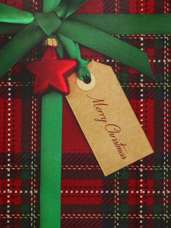 Пакет подарочный ламинированный Пакет подарочный ламинированный "Подарок", 18 х 23 х 10 см