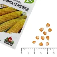 Семена Кукуруза сахарная &laquo;Лакомка Белогорья&raquo;, 5 г, серия &laquo;ХИТ х3&raquo;, &laquo;Гавриш&raquo;