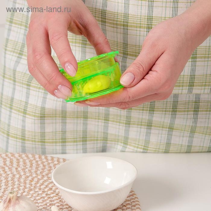 Измельчитель для чеснока Доляна «Хранитель», 8×3 см, цвет МИКС Измельчитель для чеснока Доляна «Хранитель», 8×3 см, цвет МИКС