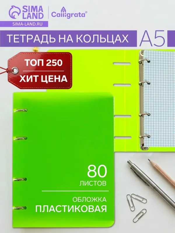 Тетрадь на кольцах Calligrata A5, 80 листов, в клетку, пластиковая обложка, блок офсет, салатовая