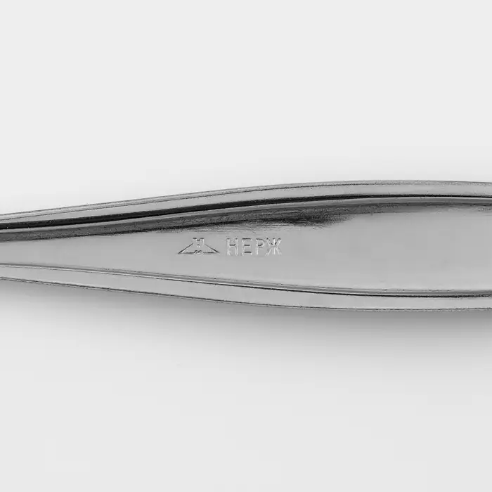 Ложка столовая &laquo;Силуэт&raquo;, длина 20 см, толщина 1 мм, упрощённой обработки, цвет серебряный