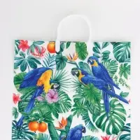 Пакет "Попугай, полиэтиленовый, пластиковая ручка 37х35 см 90 мкм Пакет "Попугай, полиэтиленовый, пластиковая ручка 37х35 см 90 мкм