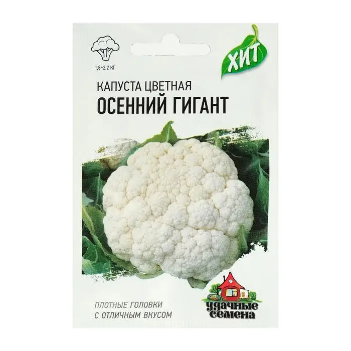 Семена Капуста цветная Семена Капуста цветная "Осенний гигант", ц/п, 0,1 г серия ХИТ х3