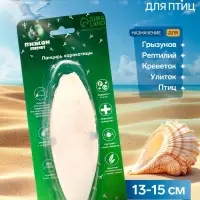 Панцирь каракатицы для птиц, 13-15 см, белый