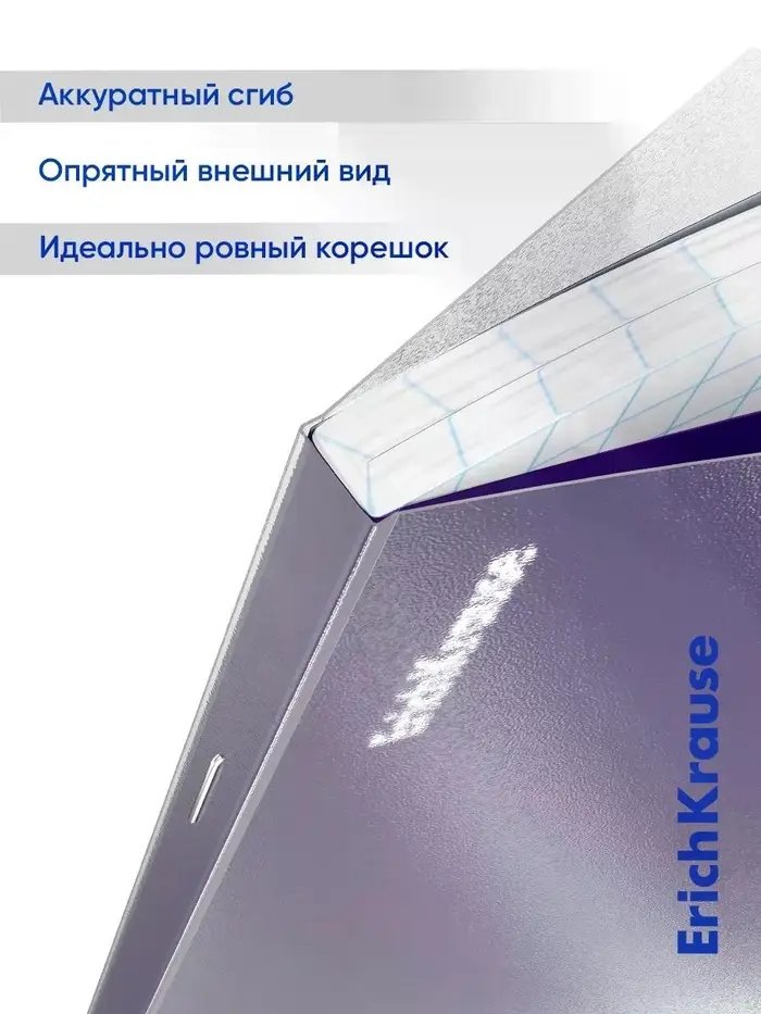 Набор предметных тетрадей ErichKrause Indigo, 12 предметов, 48 листов, с пластиковой обложкой