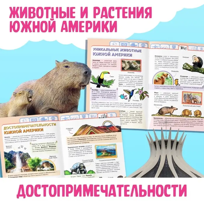 Энциклопедия детская «Южная Америка», 16 стр., 5+ Энциклопедия детская «Южная Америка», 16 стр., 5+