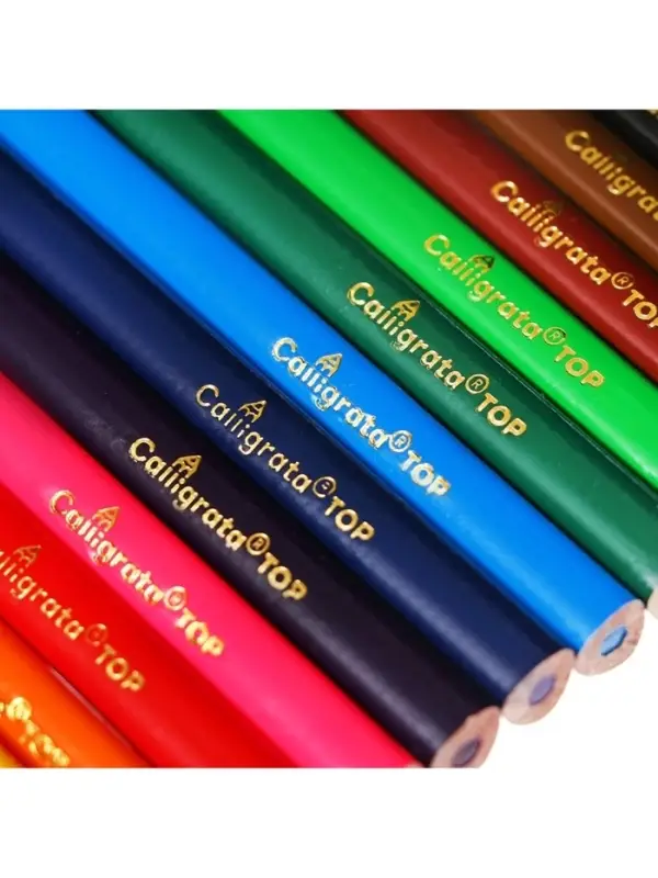 Карандаши Calligrata, 12 цветов, супермягкие, диаметр грифеля 3 мм