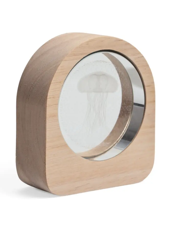 Ночник светодиодный &laquo;Медуза&raquo;, 3&times;7.5&times;8.4 см, USB