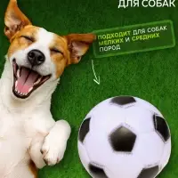 Игрушка для собак &laquo;Мяч Футбол&raquo;, 6.2 см, пищащая, винил, белая