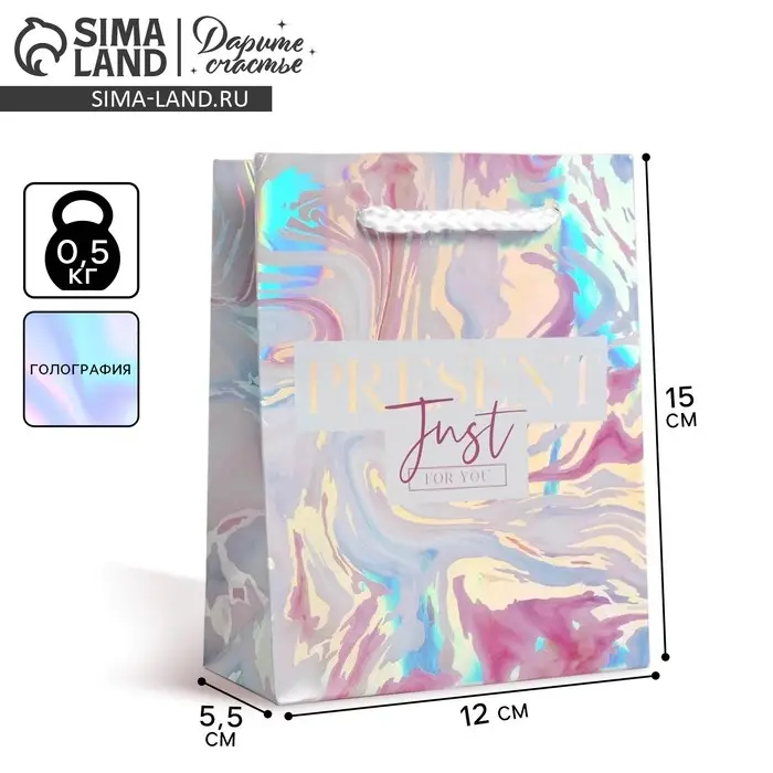 Пакет подарочный голографический, упаковка, «Present», 12 х 15 х 5.5 см