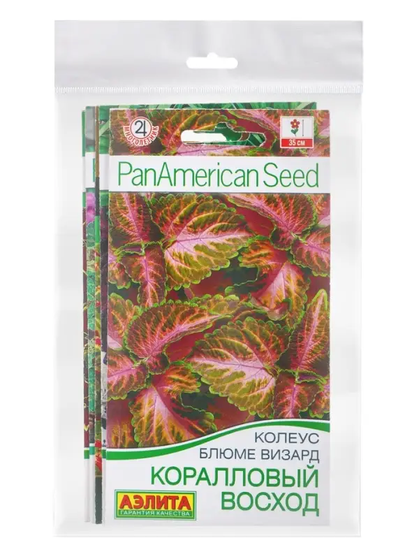 Набор семян цветов Колеус