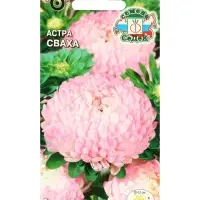 Набор семян Астра "Сваха , 5 шт. Набор семян Астра "Сваха , 5 шт.