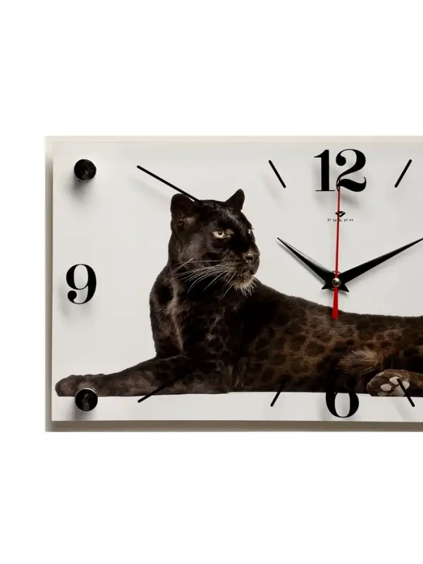 Часы настенные, интерьерные &laquo;Пантера&raquo;, бесшумные, 20&times;40 см, белые