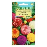 Семена цветов Георгина &laquo;Яркие помпоны&raquo;, 0.2 г, &laquo;Гавриш&raquo;